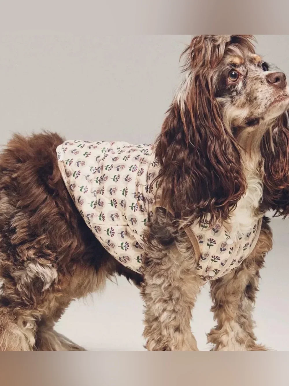 FURB FUR-GET ME NOT FLORAL QUILTED DOG VEST SZ M